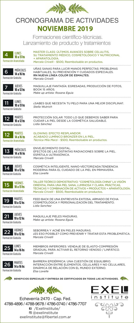 EXEL INSTIUTE: PROGRAMACION NOVIEMBRE 2019