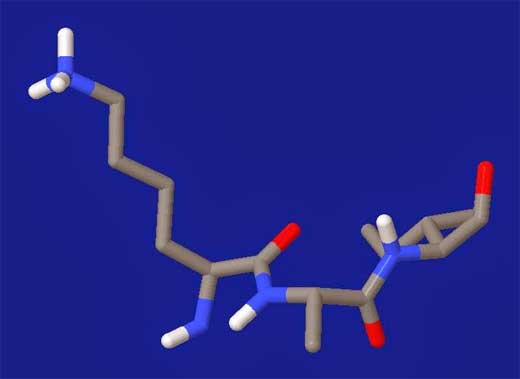 PEPTIDOS