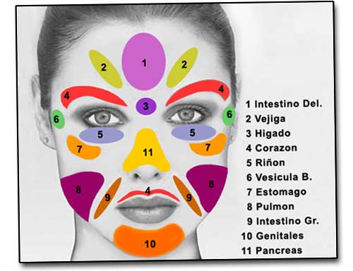 Reflexologia